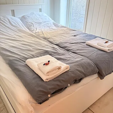 Apartment Cozy 5min To & Dnv With Free Parking