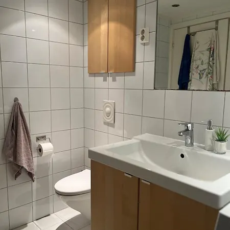 Cozy 5min To & Dnv With Free Parking Apartment Sandvika (Baerum)